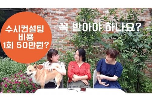 수시컨설팅 전략: 대입 성공을 위한 필수 가이드