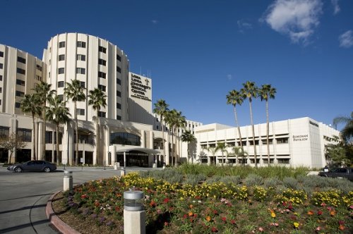 IEEA 의사면허 취득 과정이 독보적인 이유