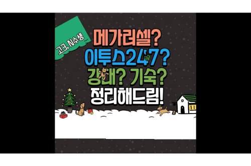 독재기숙학원의 효과적 운영 방안 연구